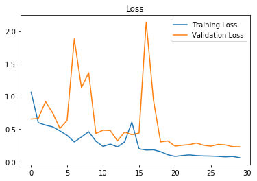 Training Loss