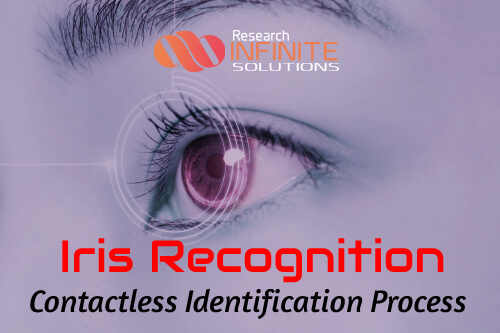 Iris Recognition - Contactless Identification Process